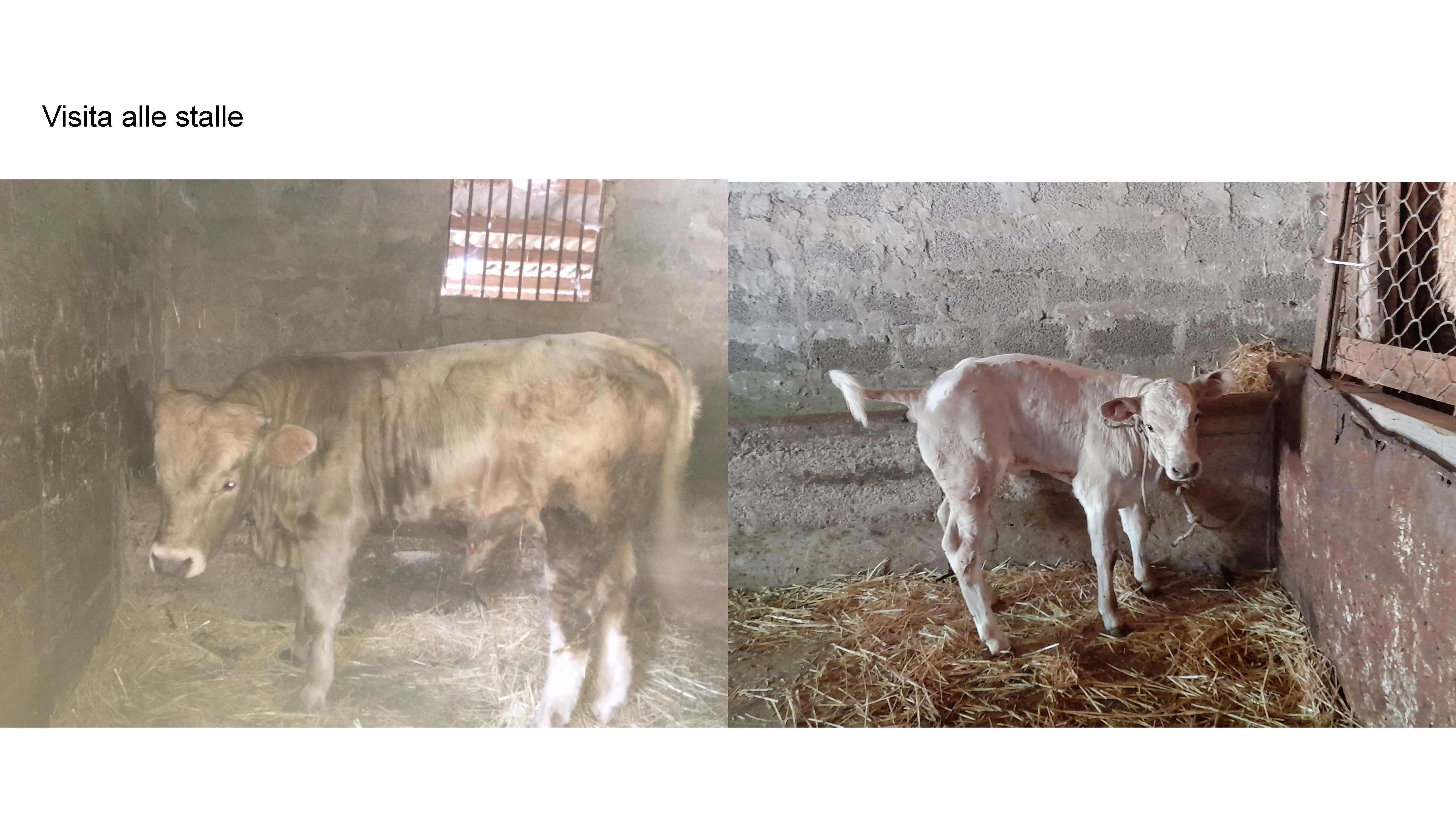 MODULI PON PERCORSO NATURALISTICO E ALLA SCOPERTA DEL MONDO Page 05