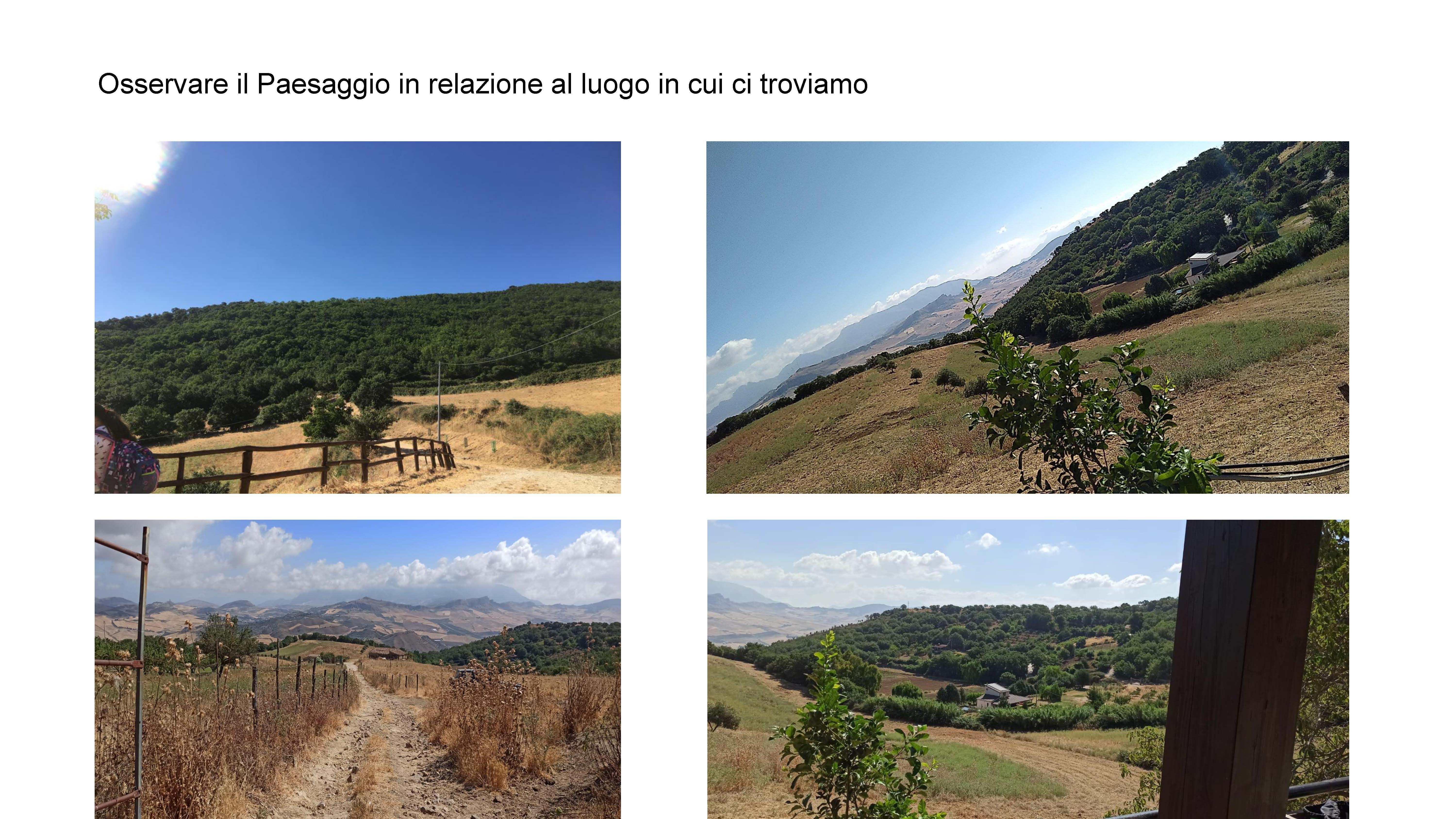 MODULI PON PERCORSO NATURALISTICO E ALLA SCOPERTA DEL MONDO Page 08