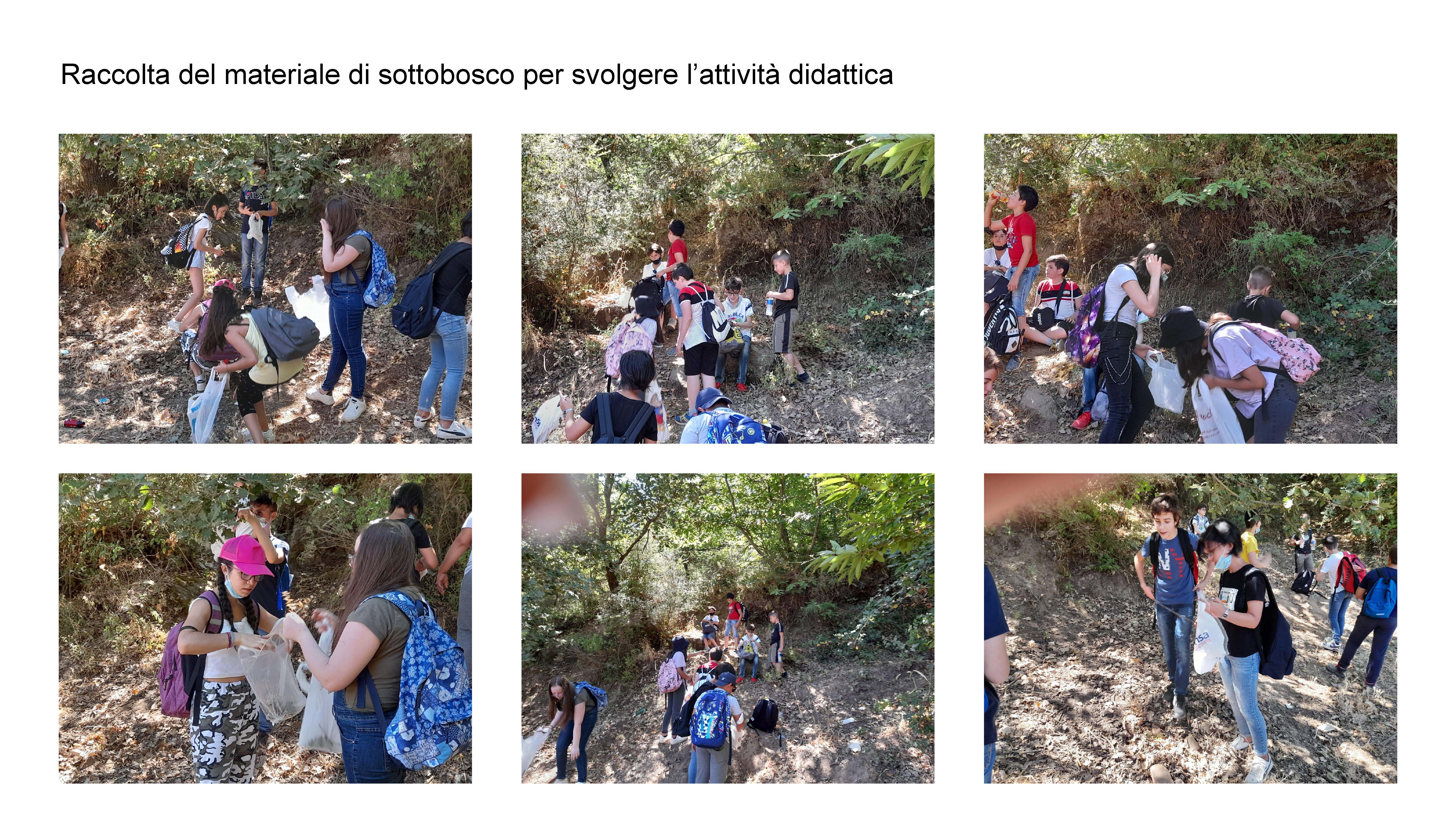 MODULI PON PERCORSO NATURALISTICO E ALLA SCOPERTA DEL MONDO Page 12