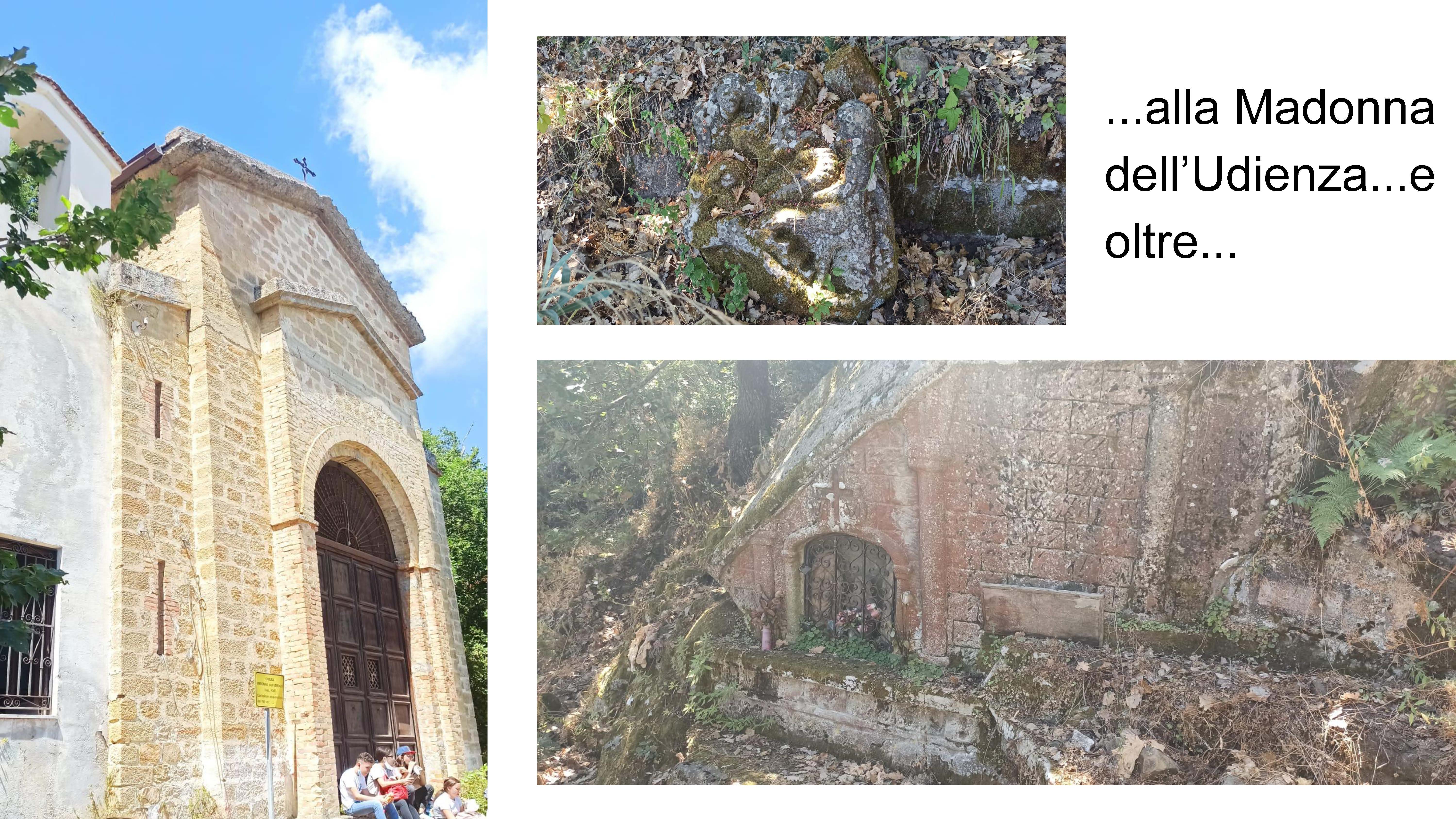 MODULI PON PERCORSO NATURALISTICO E ALLA SCOPERTA DEL MONDO Page 15