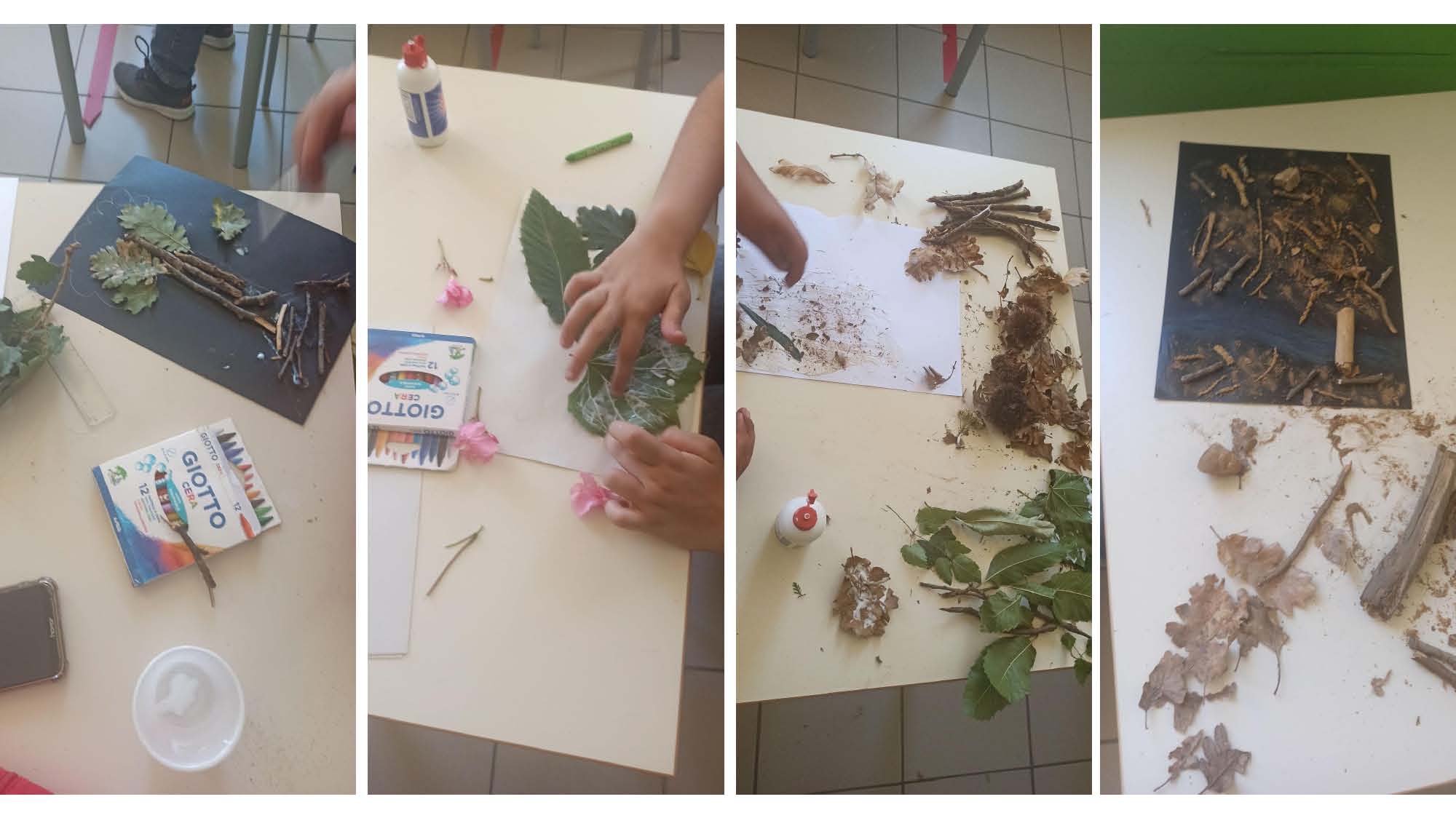 MODULI PON PERCORSO NATURALISTICO E ALLA SCOPERTA DEL MONDO Page 17