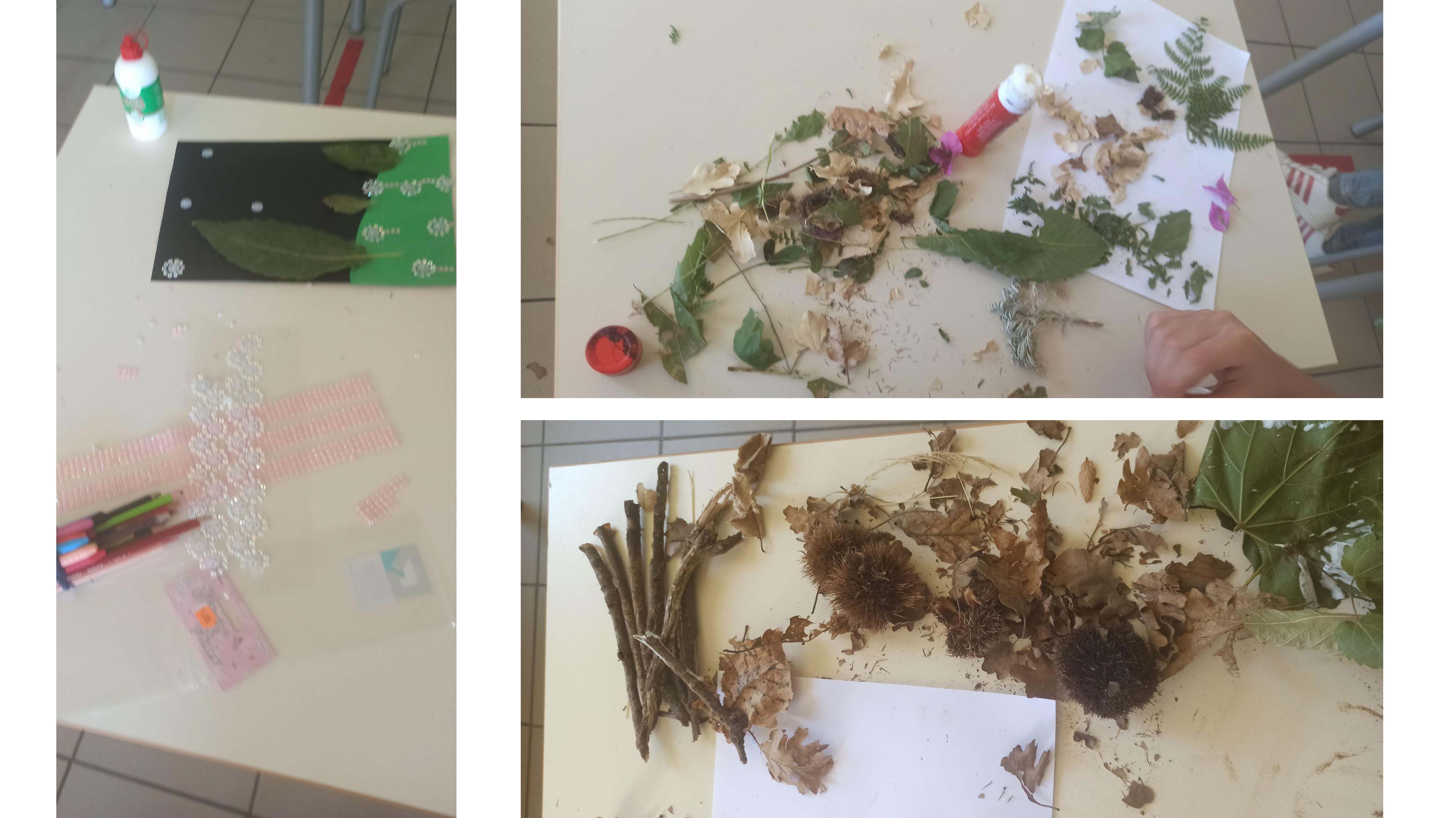 MODULI PON PERCORSO NATURALISTICO E ALLA SCOPERTA DEL MONDO Page 18