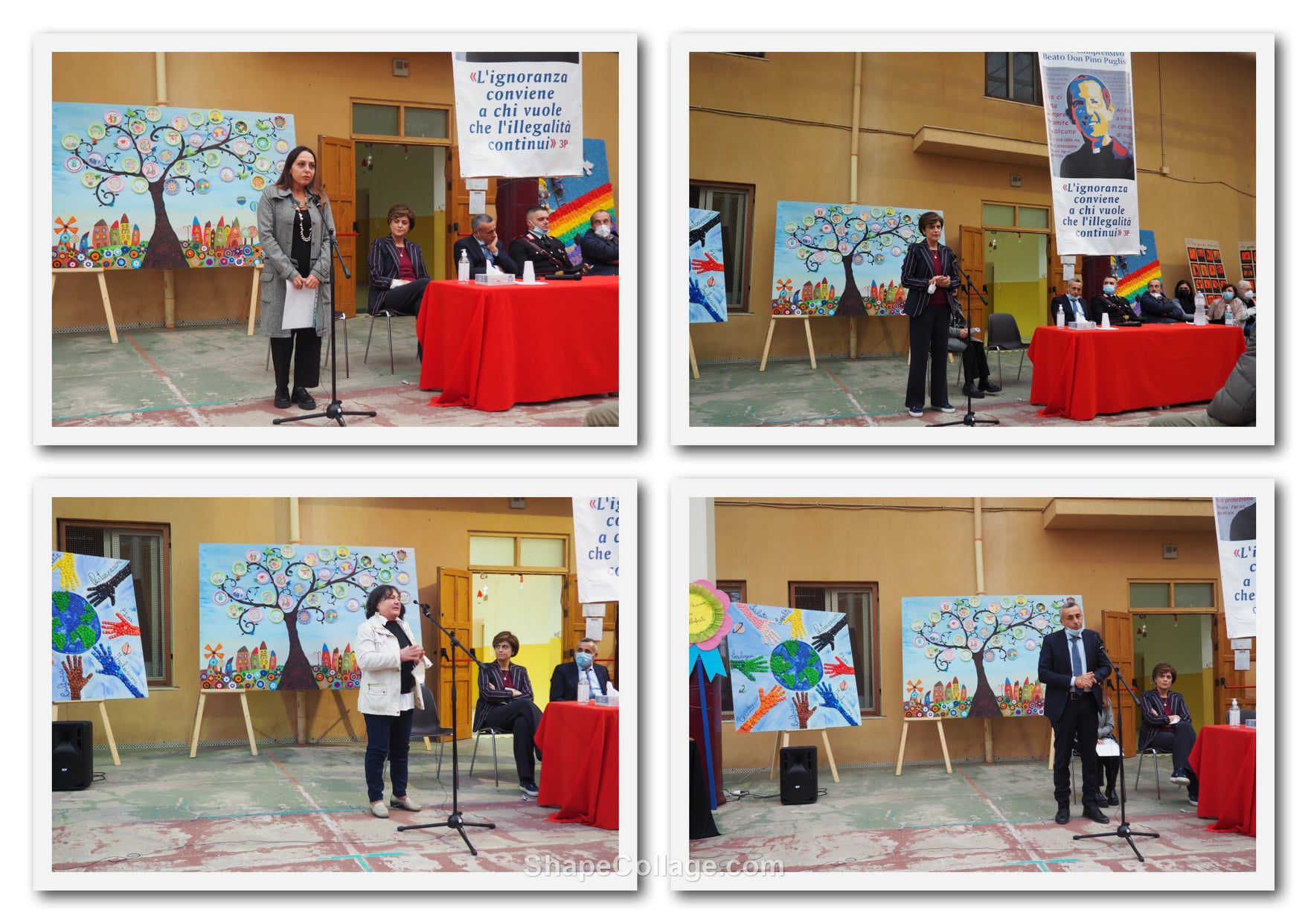 254345003 368671901713576 5123896704340879991 n